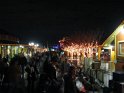 Toledo Zoo Lights 2008 009